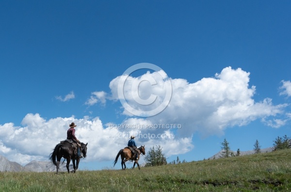 On The Trails - Lost Trail Ride - Anchor D