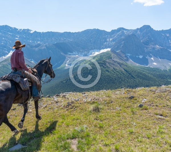 On The Trail - Lost Trail Ride - Anchor D