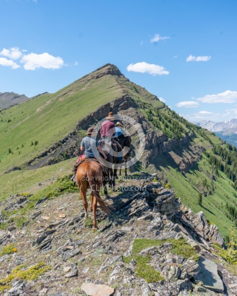 On The Trail - Lost Trail Ride - Anchor D