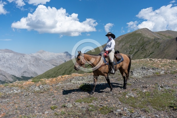 On The Trail - Lost Trail Ride - Anchor D