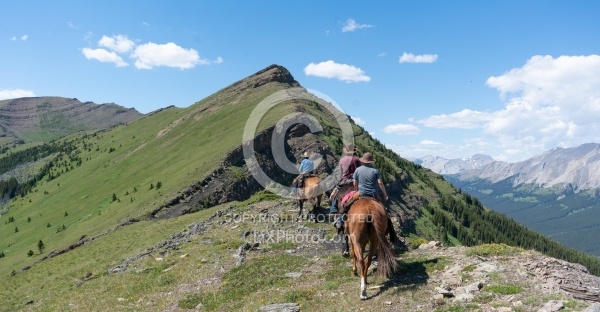 On The Trail - Lost Trail Ride - Anchor D