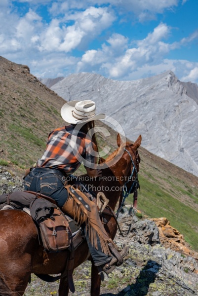 On The Trail - Anchor D - Lost Trail Ride