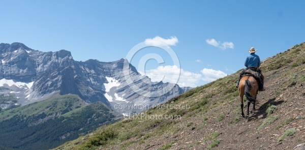 On The Trails - Lost Trail Ride - Anchor D