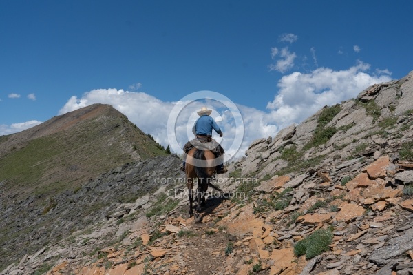 On The Trails - Lost Trail Ride - Anchor D