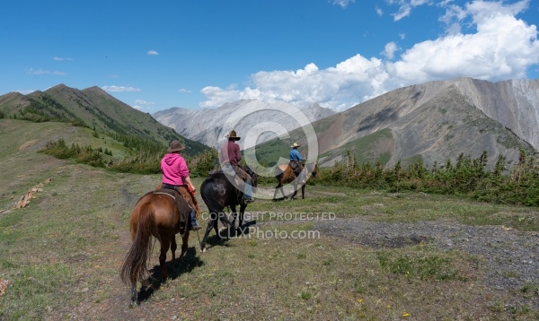 On The Trails - Lost Trail Ride - Anchor D