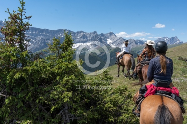 On The Trails - Lost Trail Ride - Anchor D