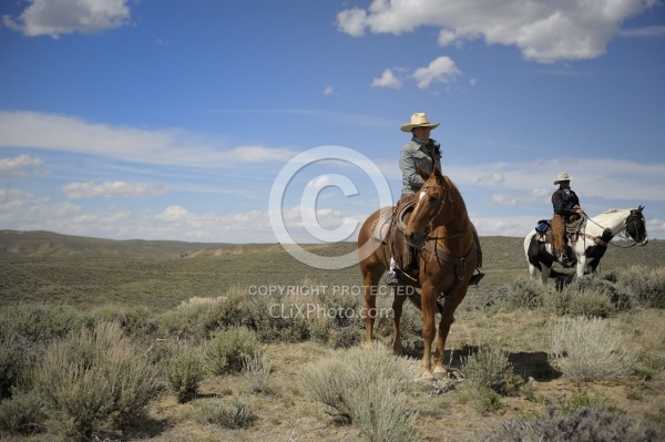 Trail Riding