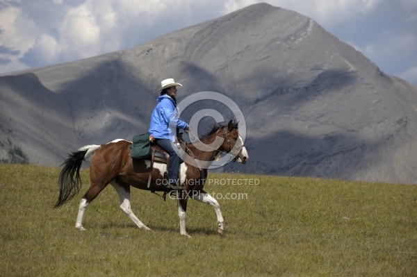 Wild Deuces Womens Retreat Trail Riding