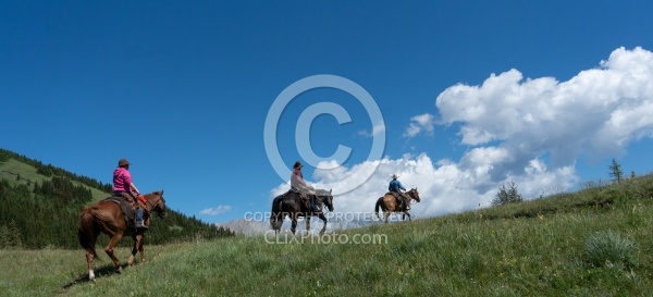 On The Trail - The Lost Trail - Anchor D
