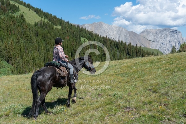 On The Trail - The Lost Trail - Anchor D
