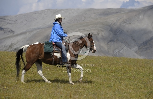 Wild Deuces Womens Retreat Trail Riding