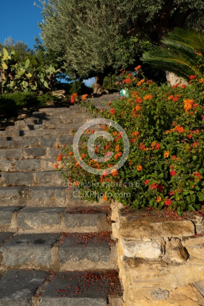 Prinicpe di Aragona, Sicily