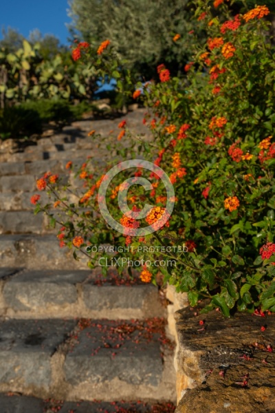 Prinicpe di Aragona, Sicily