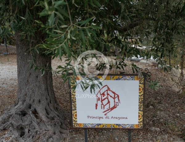 Principe Di Aragona
