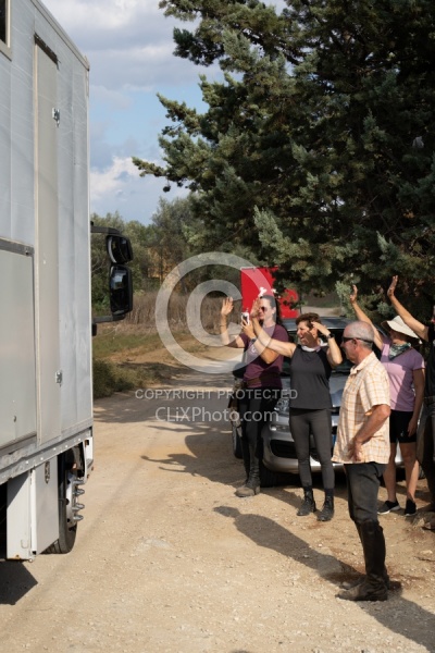 Saying Goodbye to the Horses