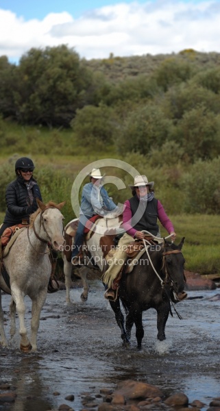Blue Sky Sage Water Crossings on The Trail