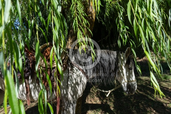 Picnic Lunch on the Trail