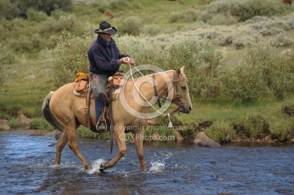 Blue Sky Sage Water Crossings on The Trail