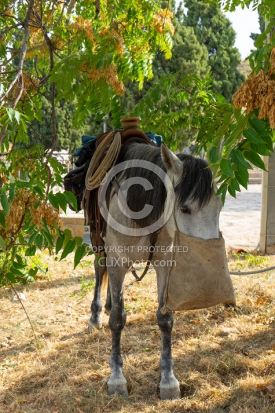 Picnic Lunch on the Trail