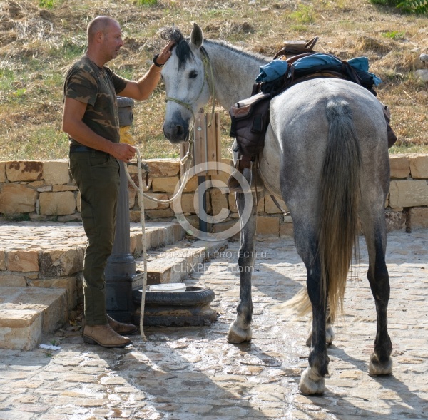Gimmy Watering a Horse at Lunch on the Trail