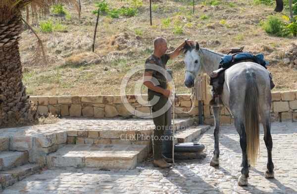 Gimmy Watering a Horse at  Lunch on the Trail