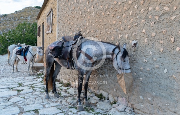 Picnic Lunch on the Trail