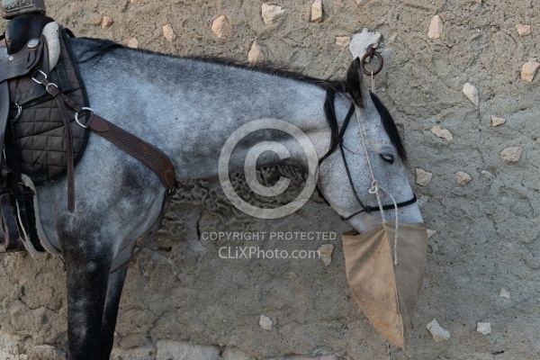Picnic Lunch on the Trail