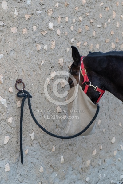 Picnic Lunch on the Trail