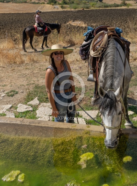Watering the Horses