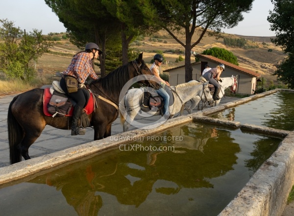 Watering the Horses
