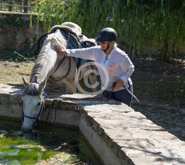 Watering the Horses on the Trail
