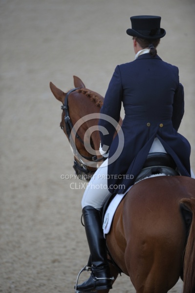 Dressage Close Up