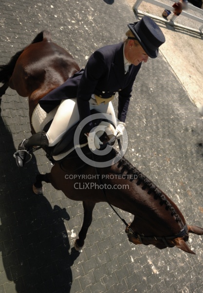 Dressage from Above