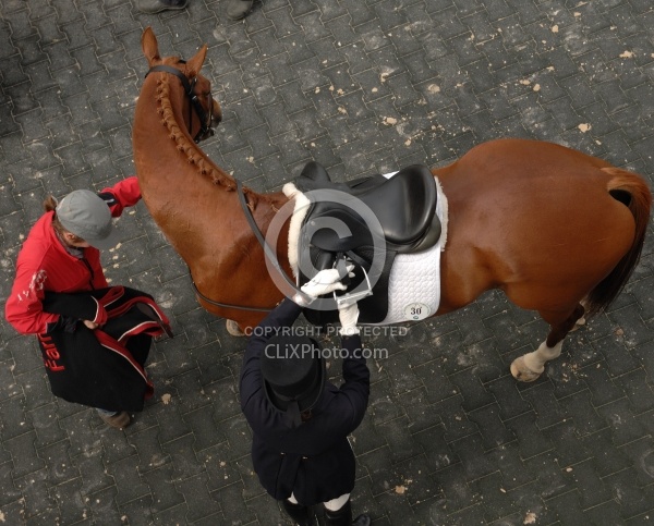 Dressage from Above
