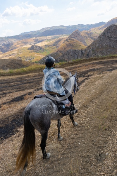 On The Trail