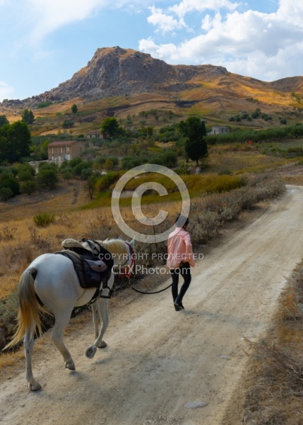 On The Trail