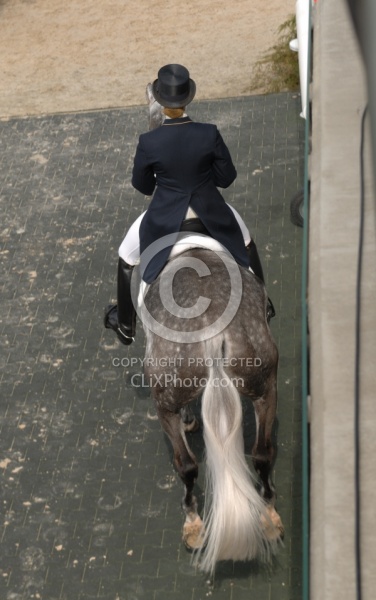 Dressage from Above