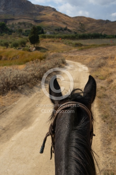 On The Trail