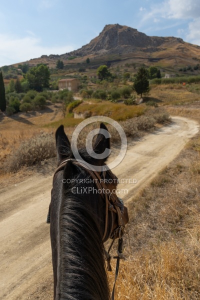 On The Trail