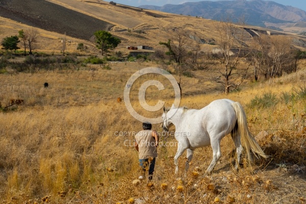 On The Trails