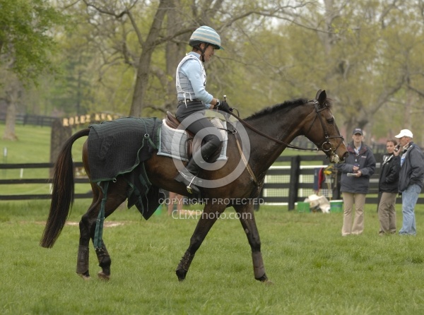 The Vet Box Rolex 2008 
