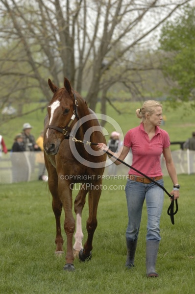 Cooling down in the Vet Box Rolex 2008 