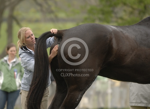 Taking Temperature in the Vet Box Rolex 2008