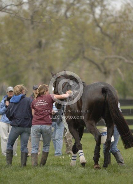 Cooling down in the Vet Box Rolex 2008 