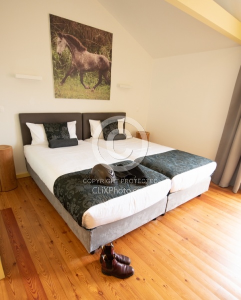 Patio Ecolodge Faial Azores