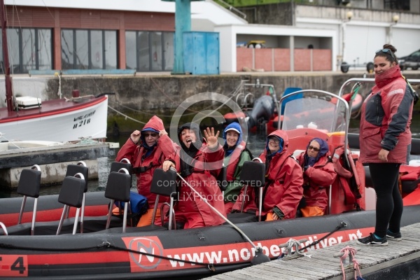 Whale Watching Azores