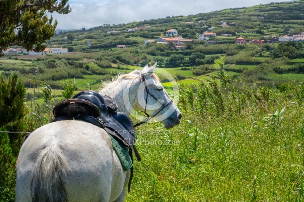 On The Trails in the Azores with Wild Women Expeditions