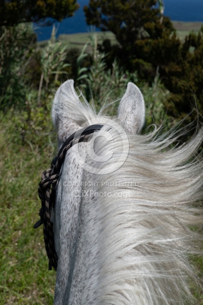 On The Trails in the Azores with Wild Women Expeditions