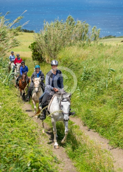 On The Trails in the Azores with Wild Women Expeditions