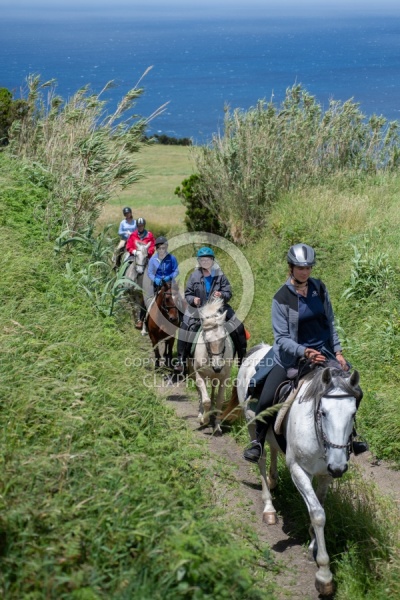 On The Trails in the Azores with Wild Women Expeditions